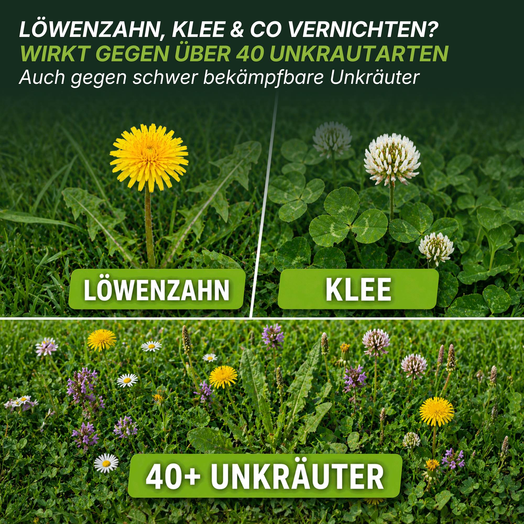 Flüssiger Unkrautvernichter - Image 8