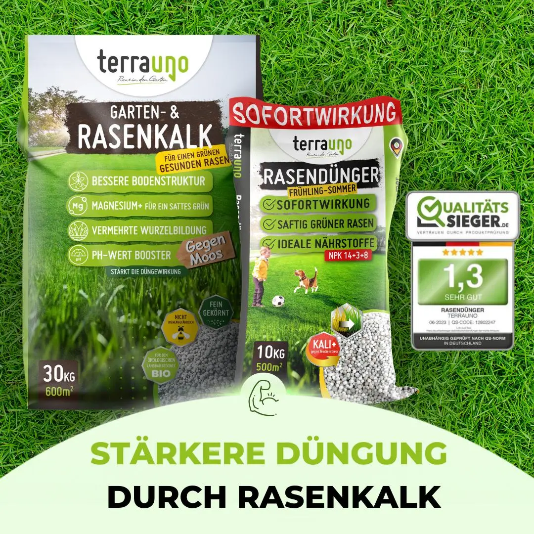 Frühlingsstarter-Set - Image 11