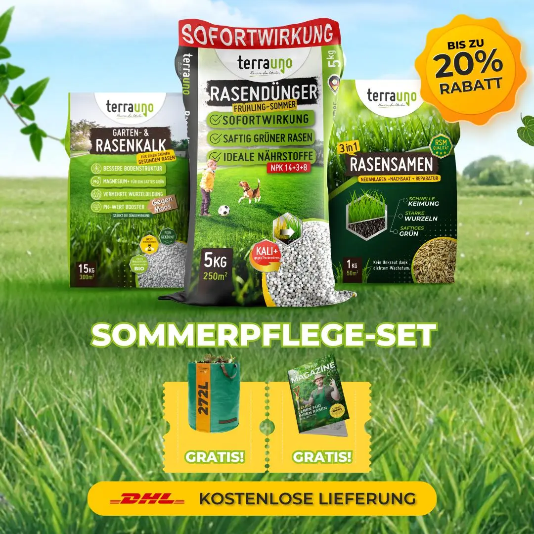 Frühlingsstarter-Set - Image 20