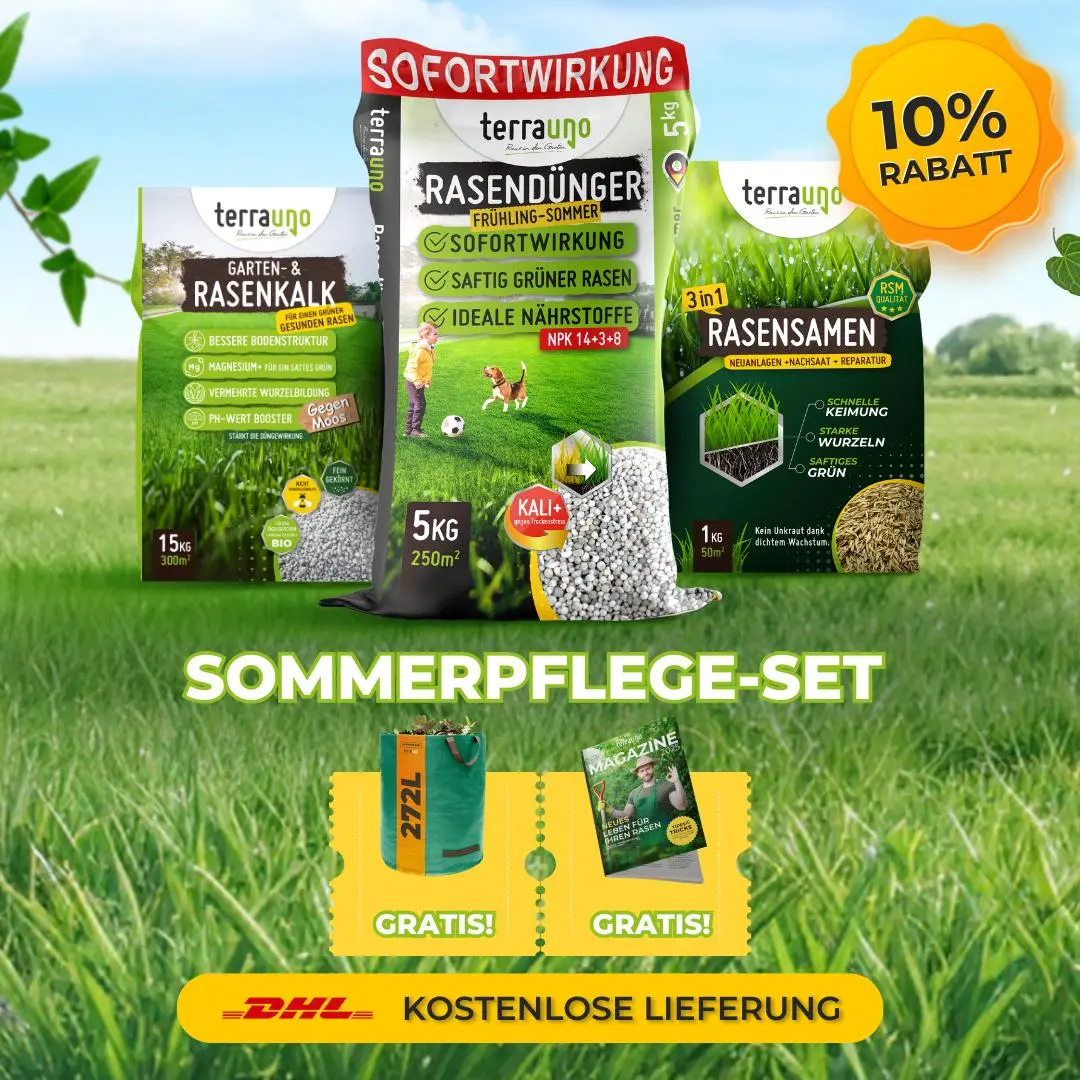 Frühlingsstarter-Set - Image 22