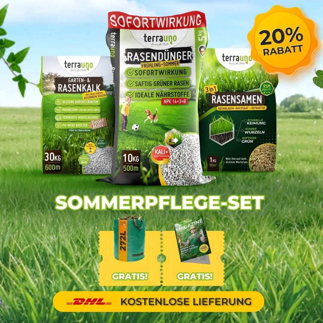 Frühlingsstarter-Set - Image 24