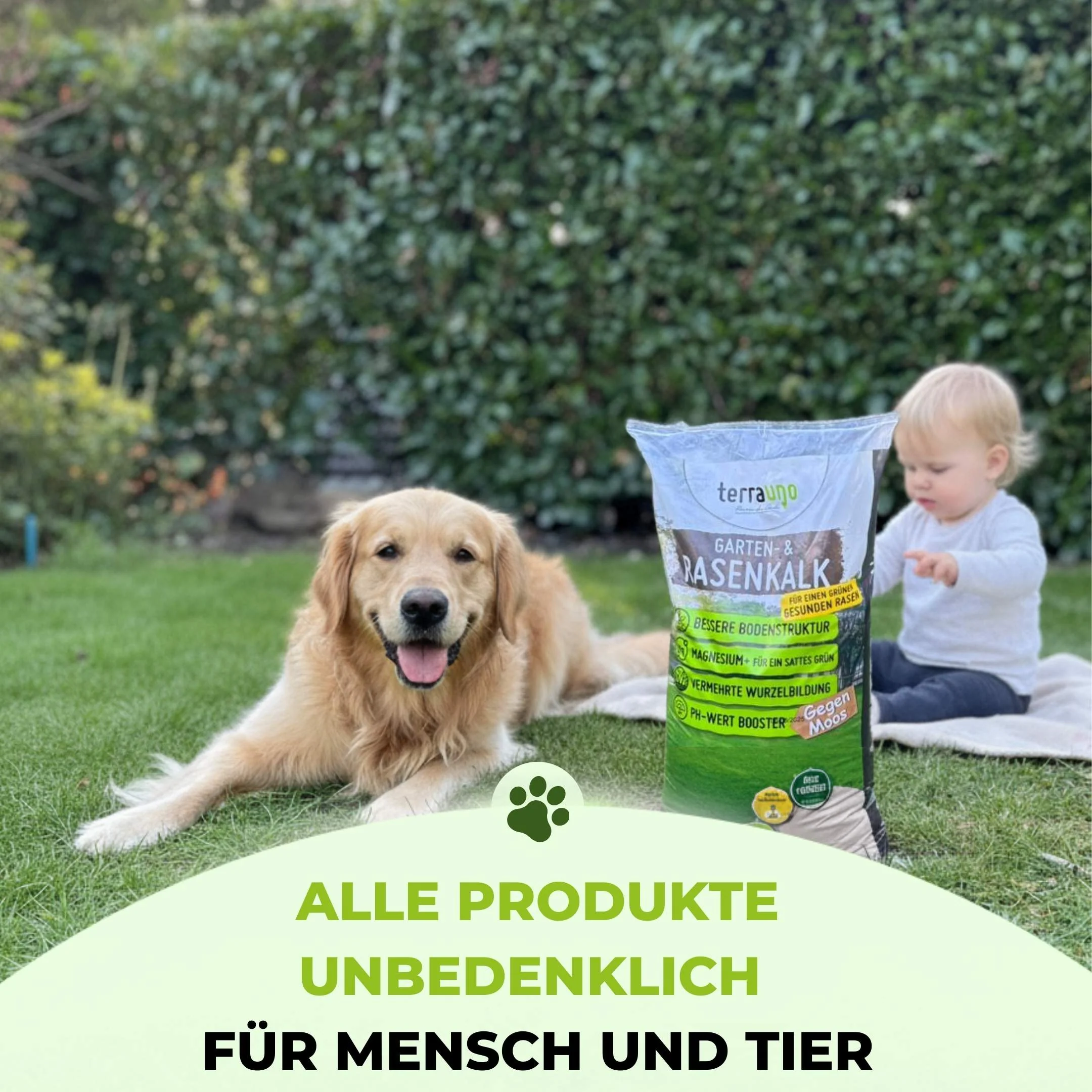 Frühlingsstarter-Set - Image 36