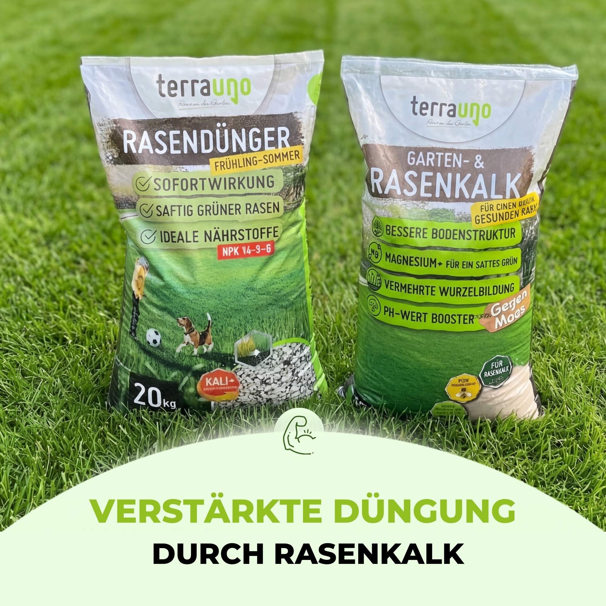 Frühlingsstarter-Set - Image 38