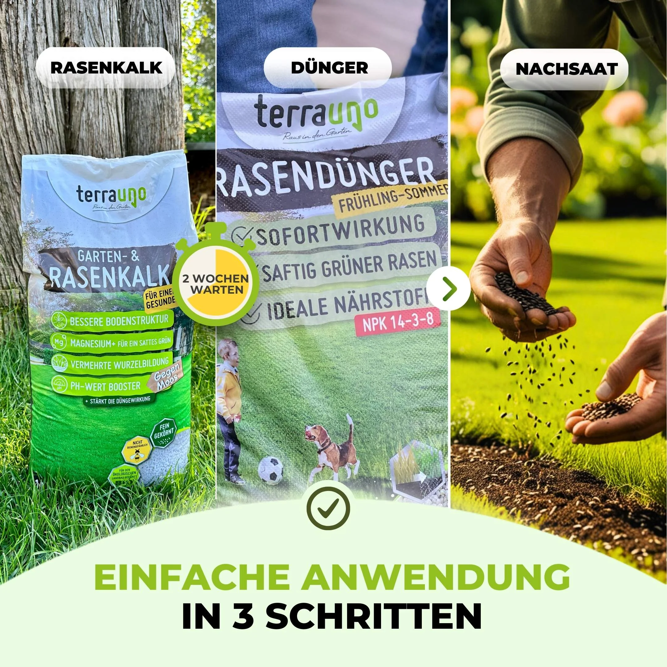 Frühlingsstarter-Set - Image 39