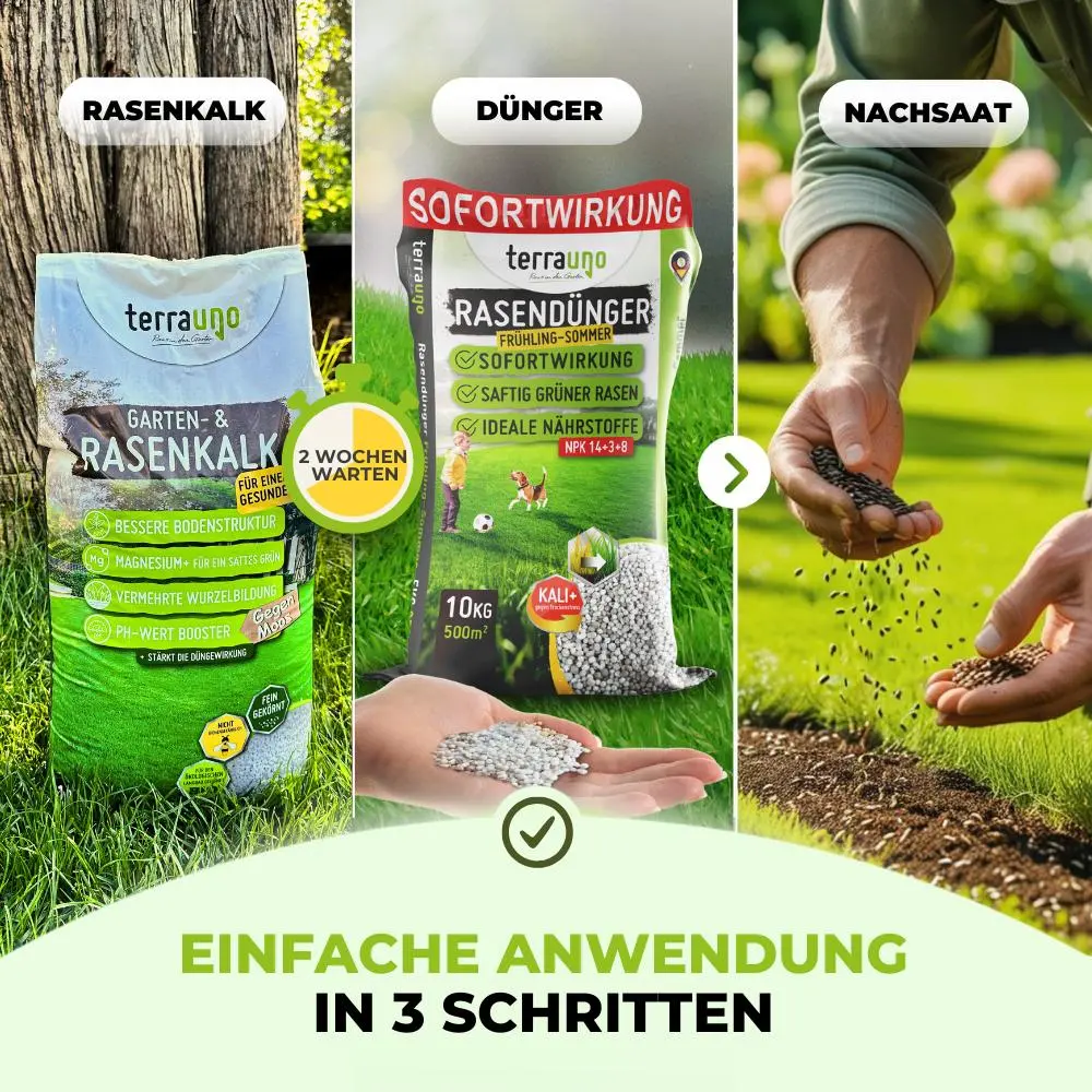 Frühlingsstarter-Set - Image 4