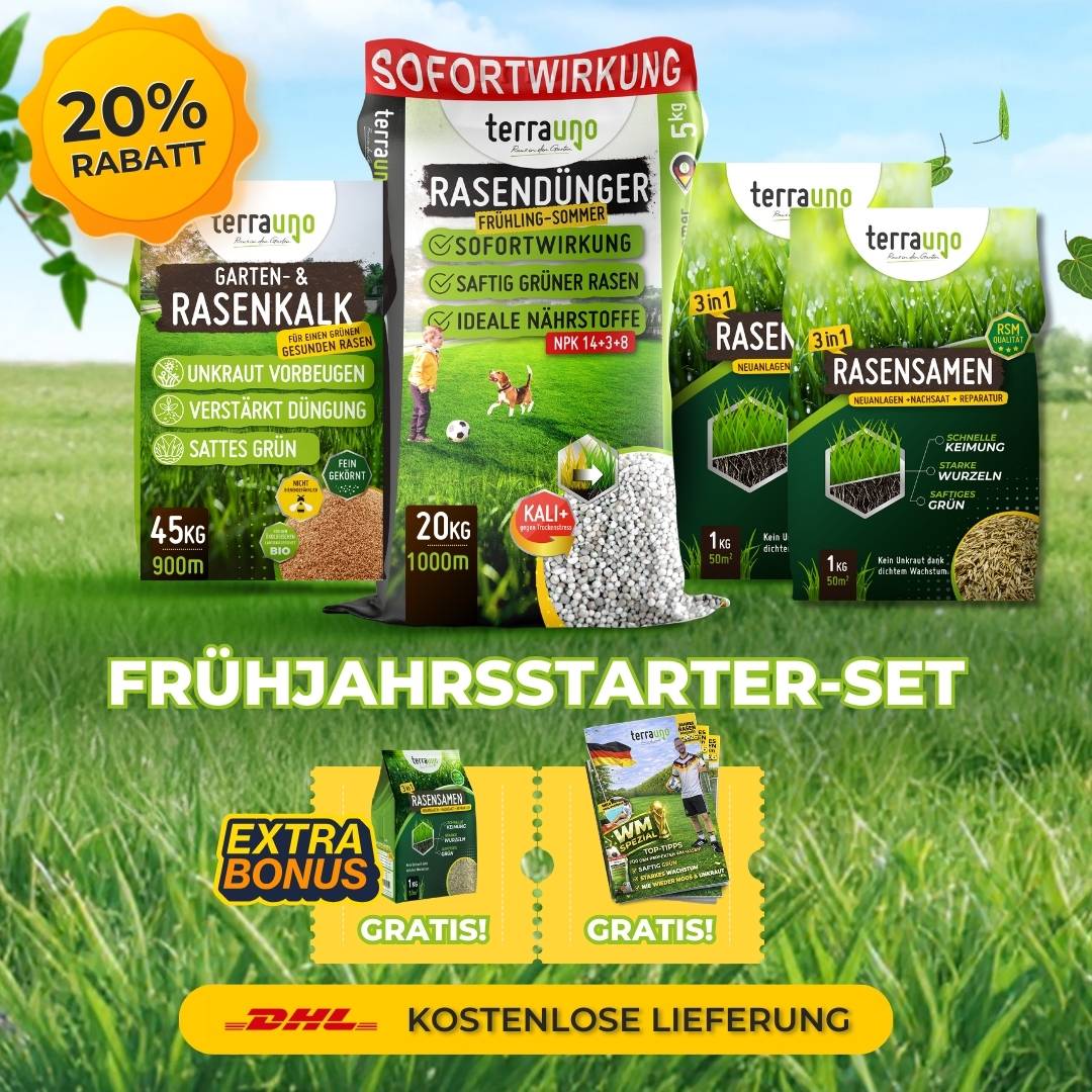 Frühlingsstarter-Set - Image 40