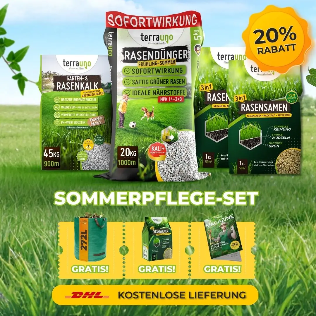Frühlingsstarter-Set - Image 5