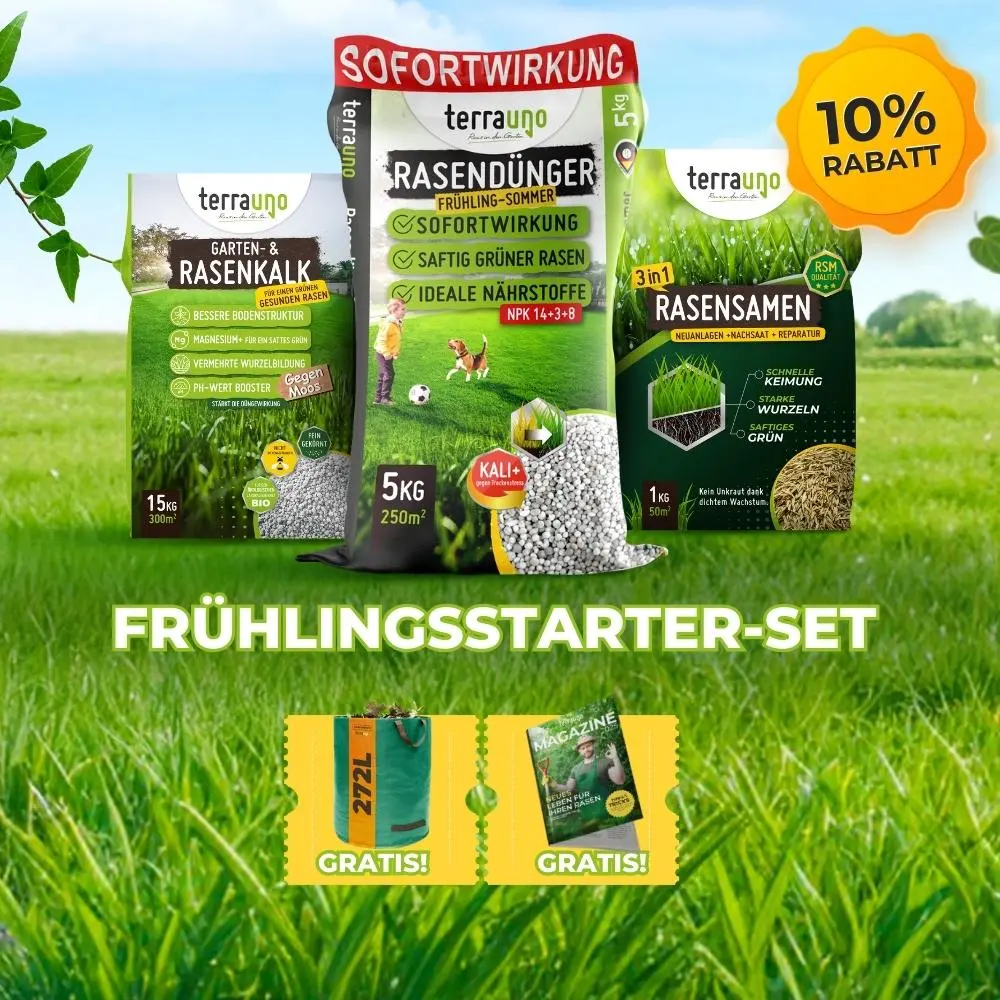 Frühlingsstarter-Set - Image 7