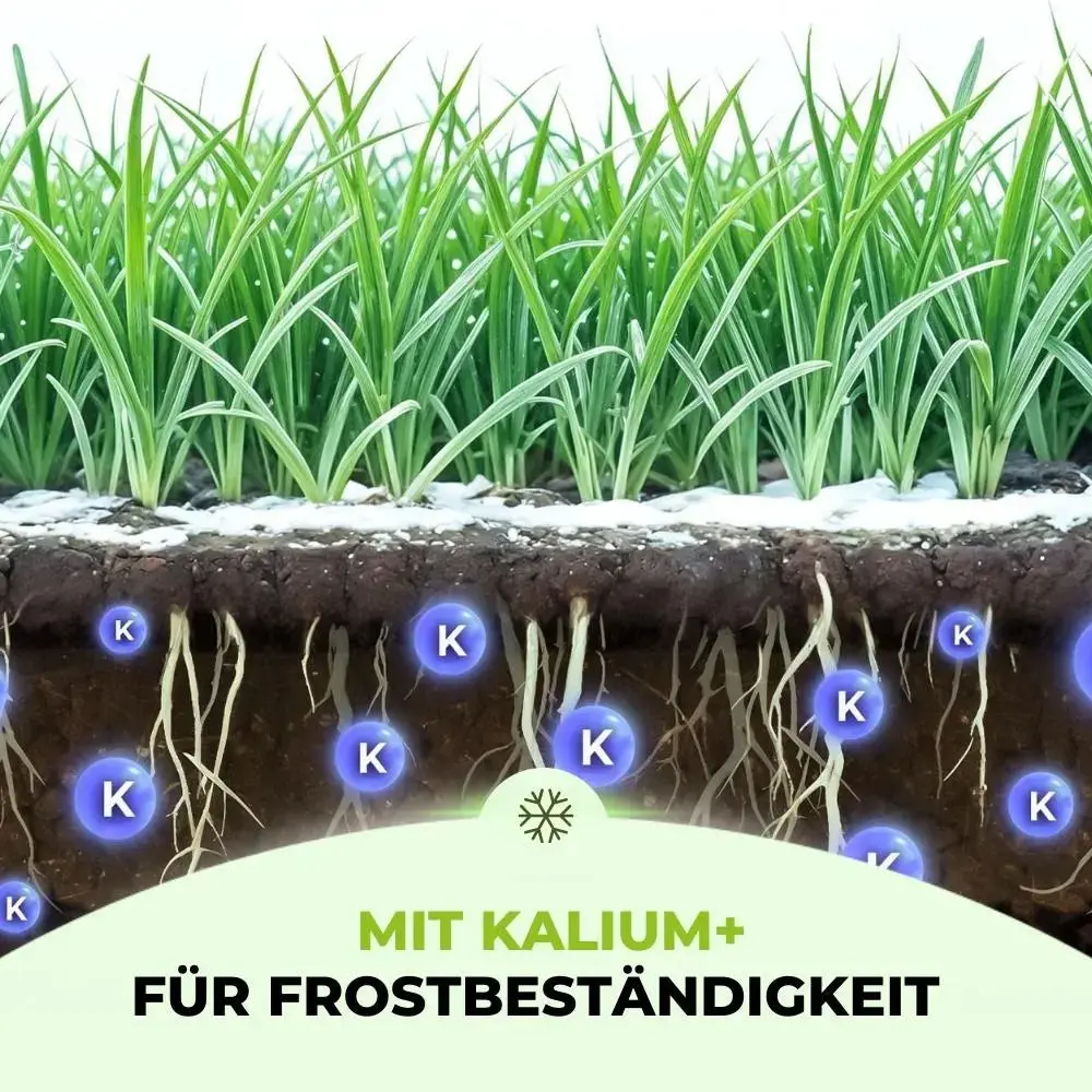 Premium - Herbst Rasendünger - Image 10