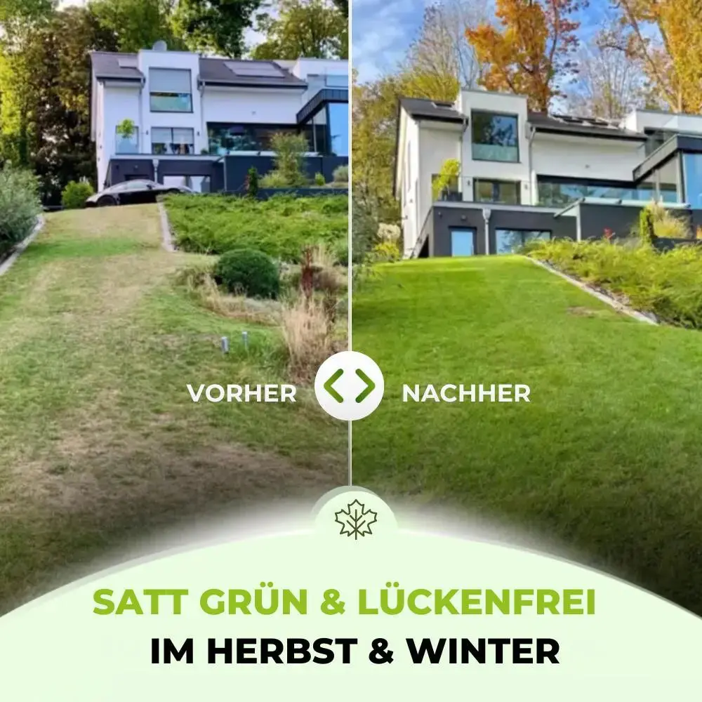 Premium - Herbst Rasendünger - Image 6