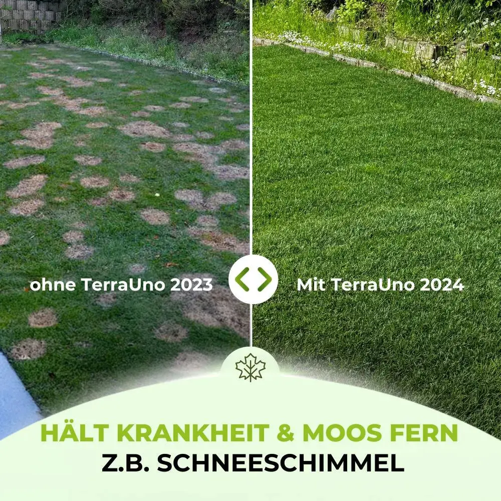 Premium - Herbst Rasendünger - Image 9