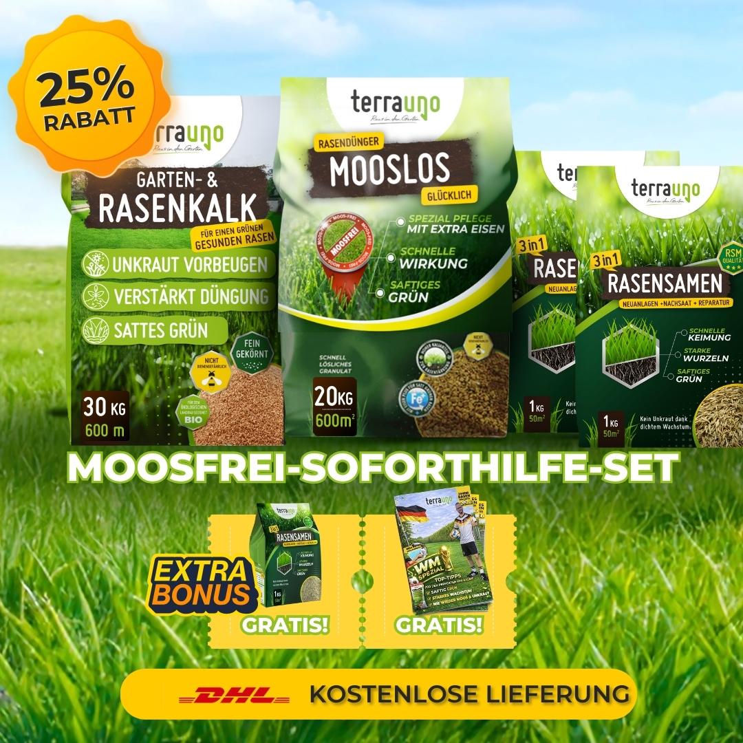 Rasen Sparsets