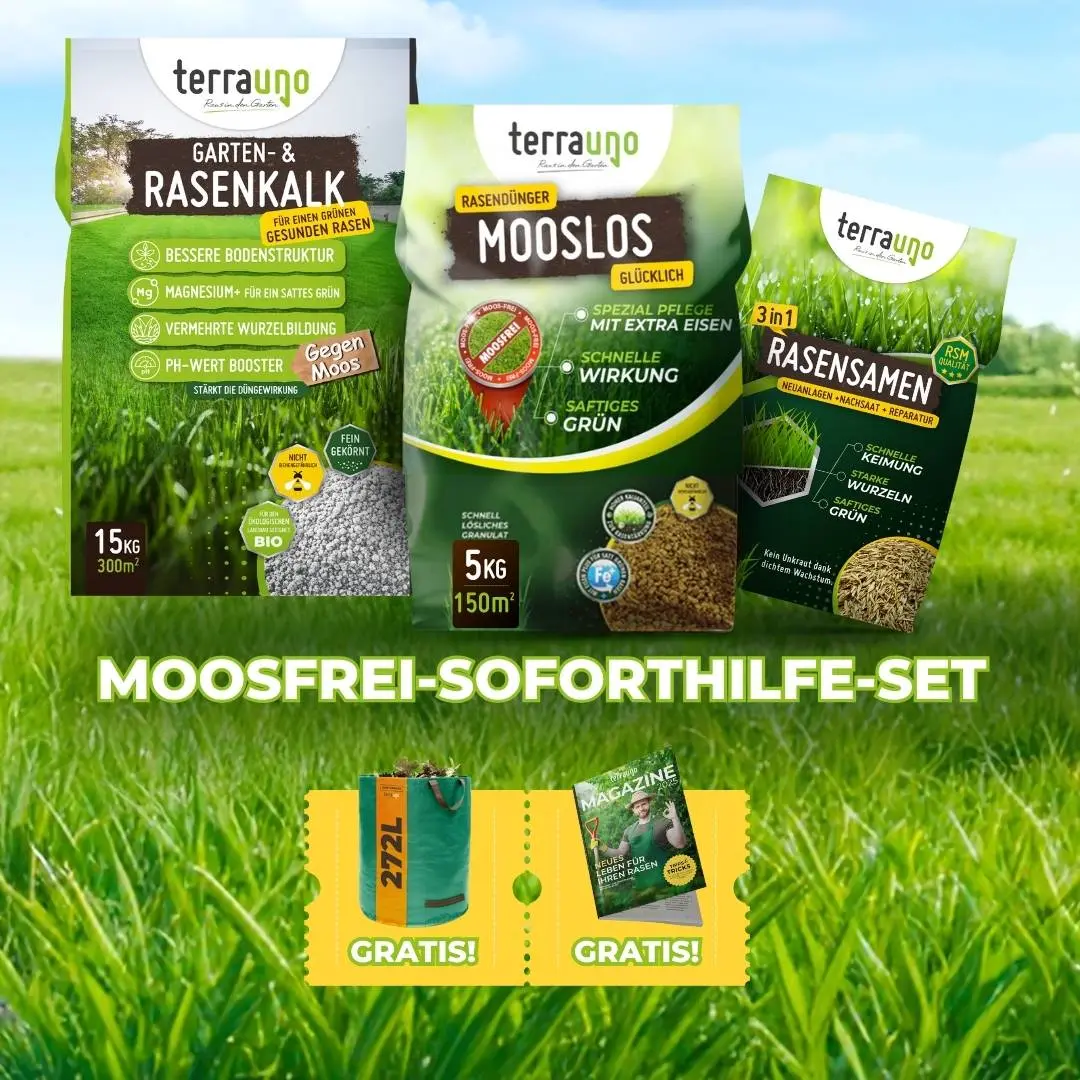 Moosfrei Soforthilfe Set - Image 13