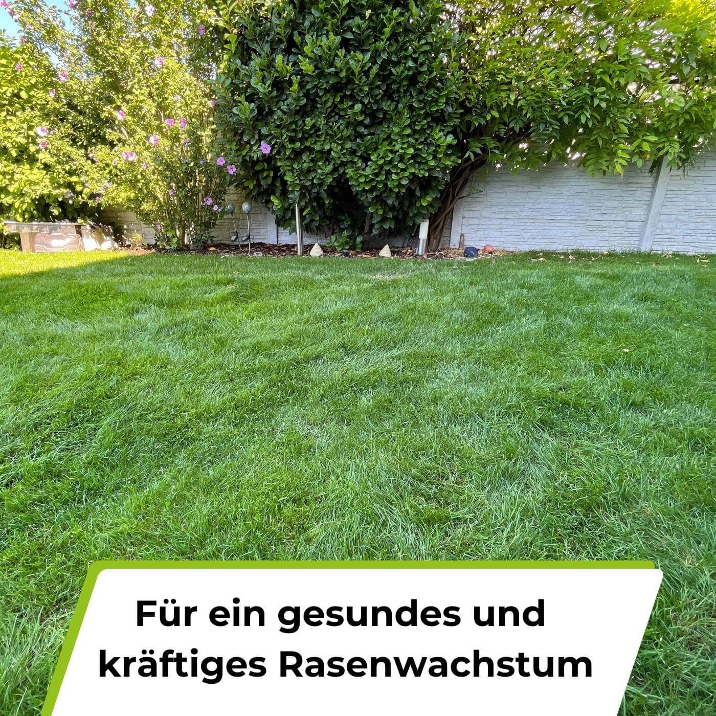 Rasenerde torffrei - Image 4