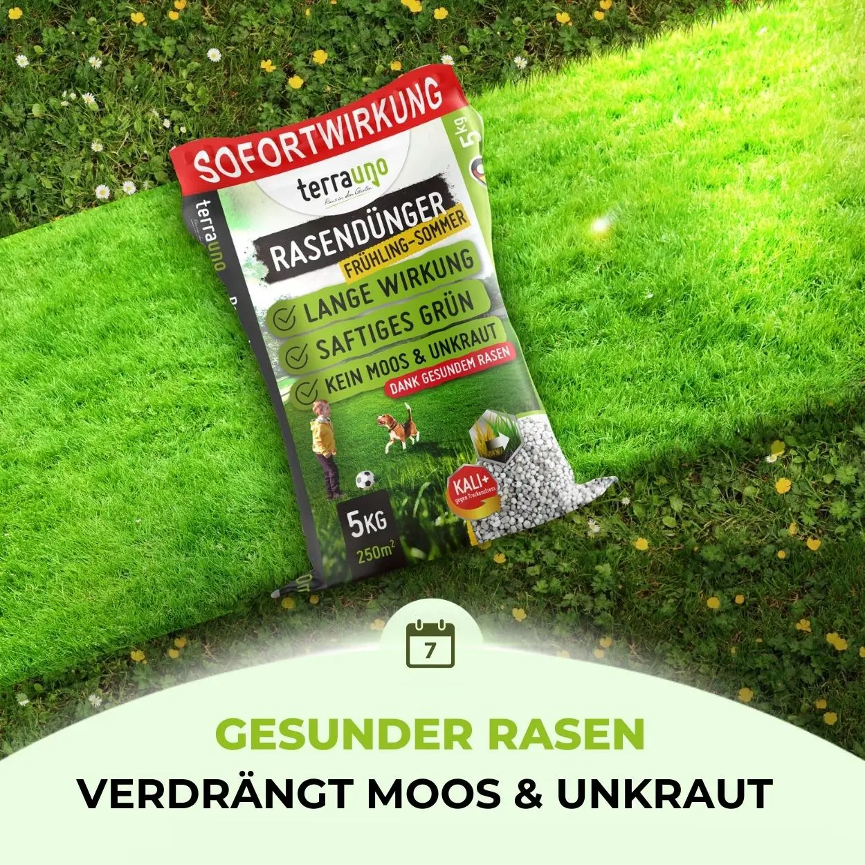 Rasendünger Sommer und Frühling - Image 21