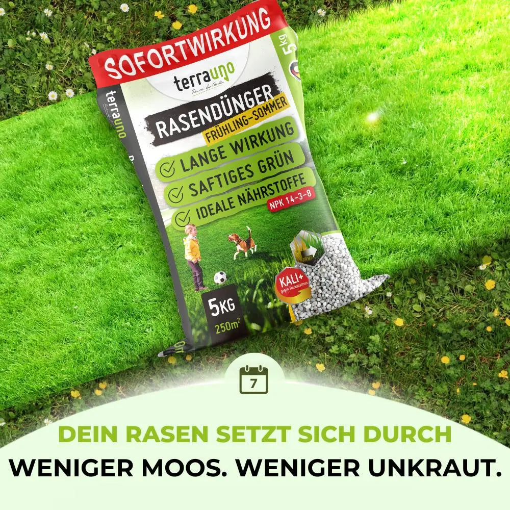 Rasendünger Sommer und Frühling - Image 26