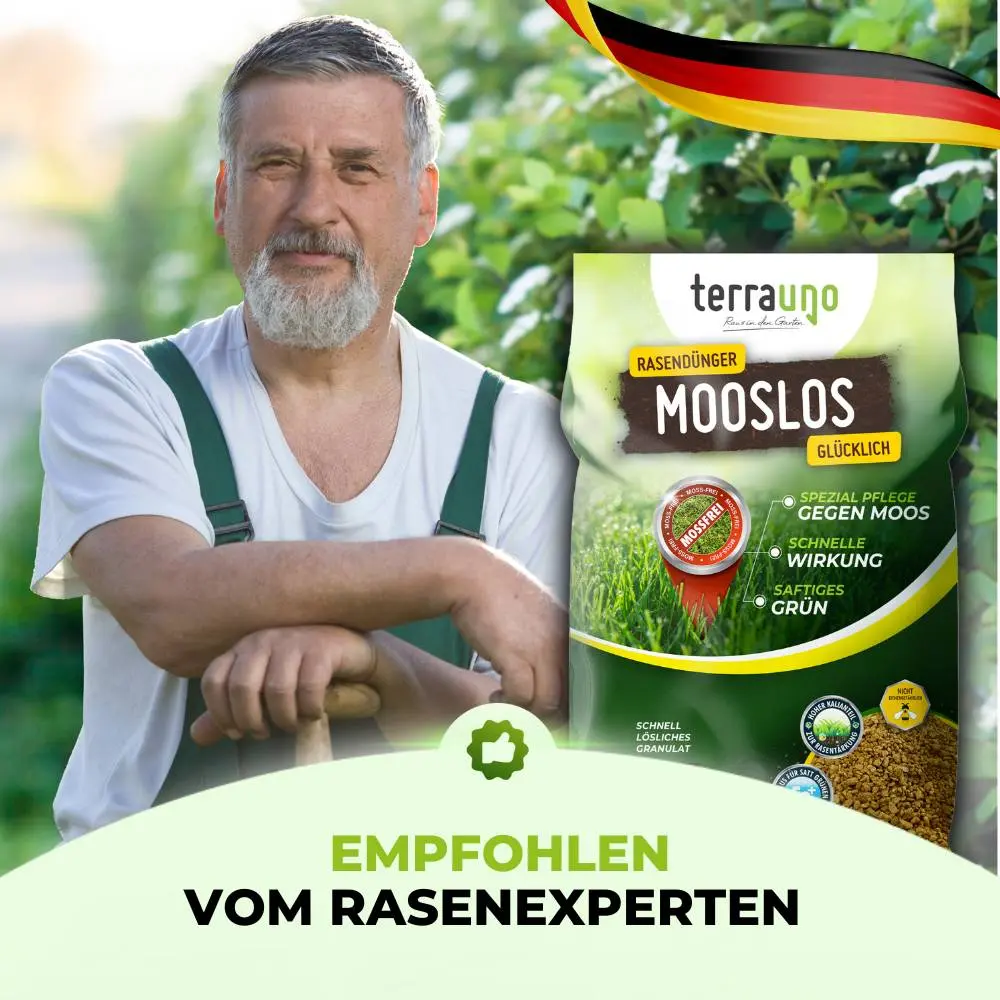 Rasendünger mit Eisen – Mooslos Glücklich - Image 11