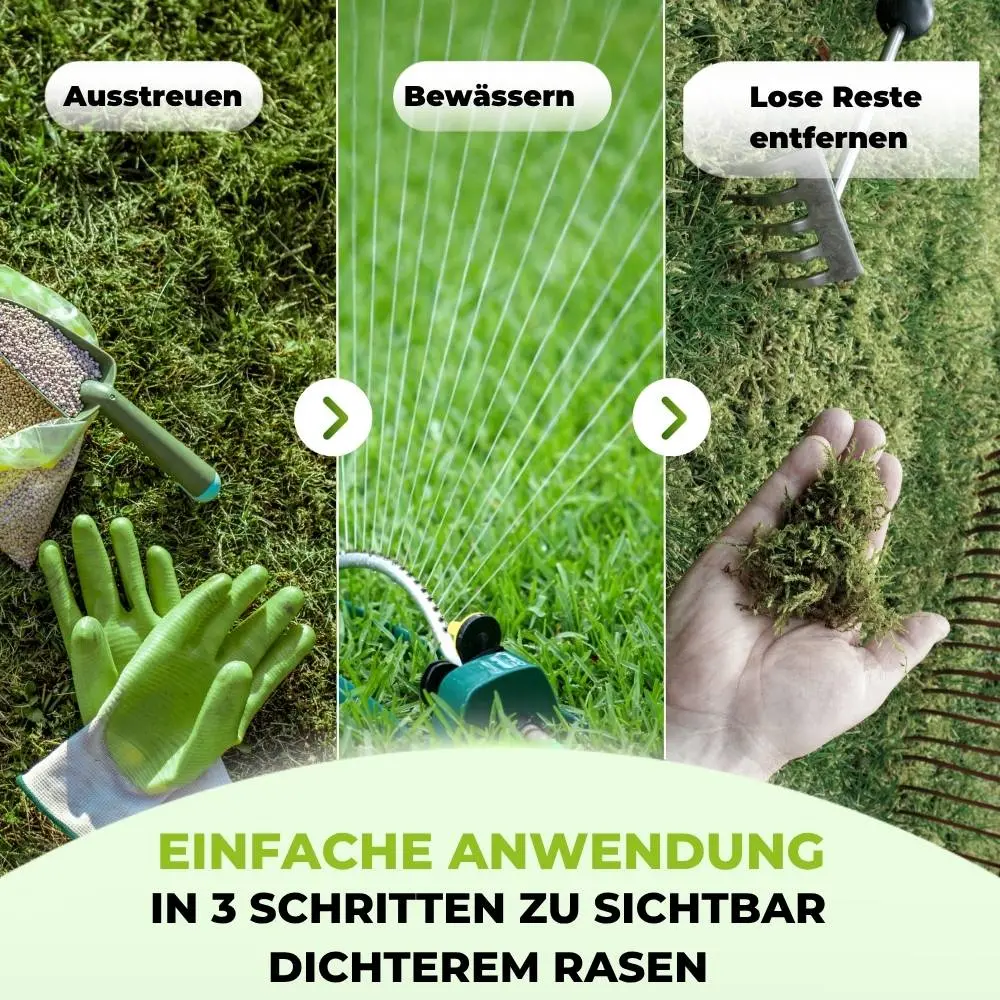 Rasendünger mit Eisen – Mooslos Glücklich - Image 3
