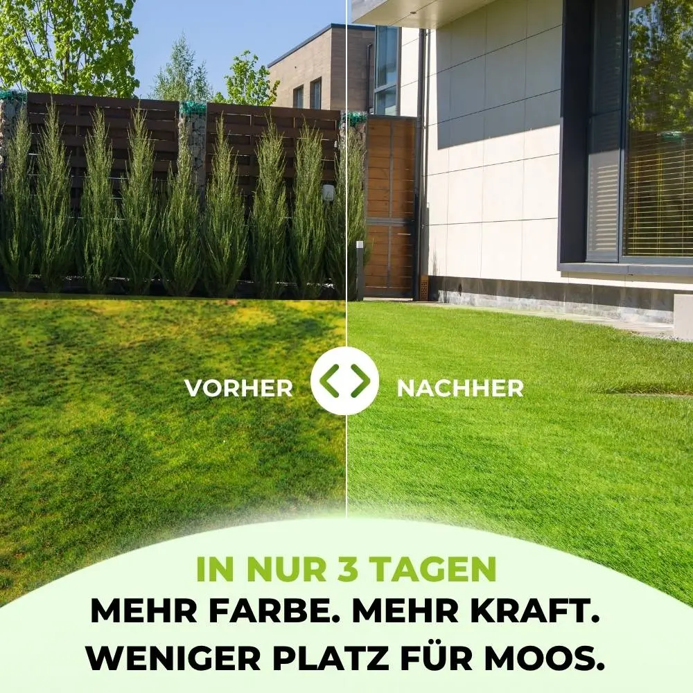 Rasendünger mit Eisen – Mooslos Glücklich - Image 6