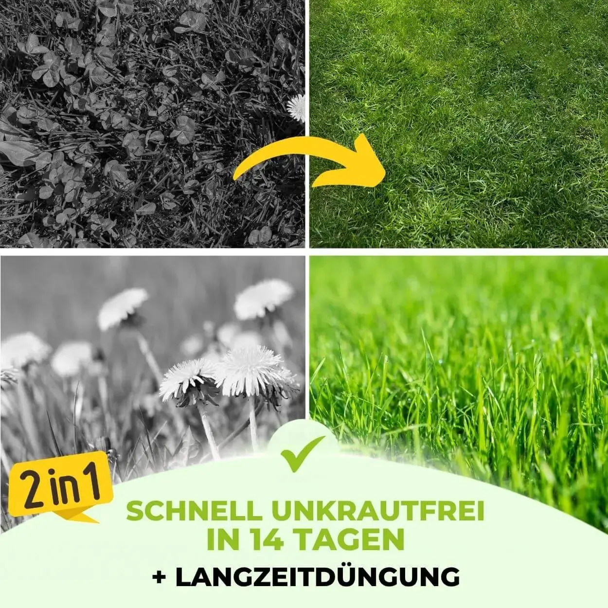 Premium - Rasendünger mit Unkrautvernichter 22-5-5 - Image 21