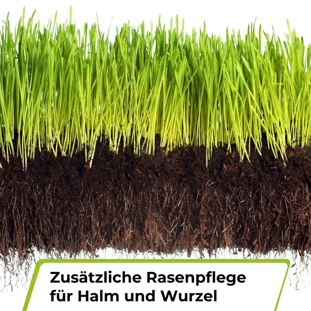 Premium - Rasendünger mit Unkrautvernichter 22-5-5 - Image 7