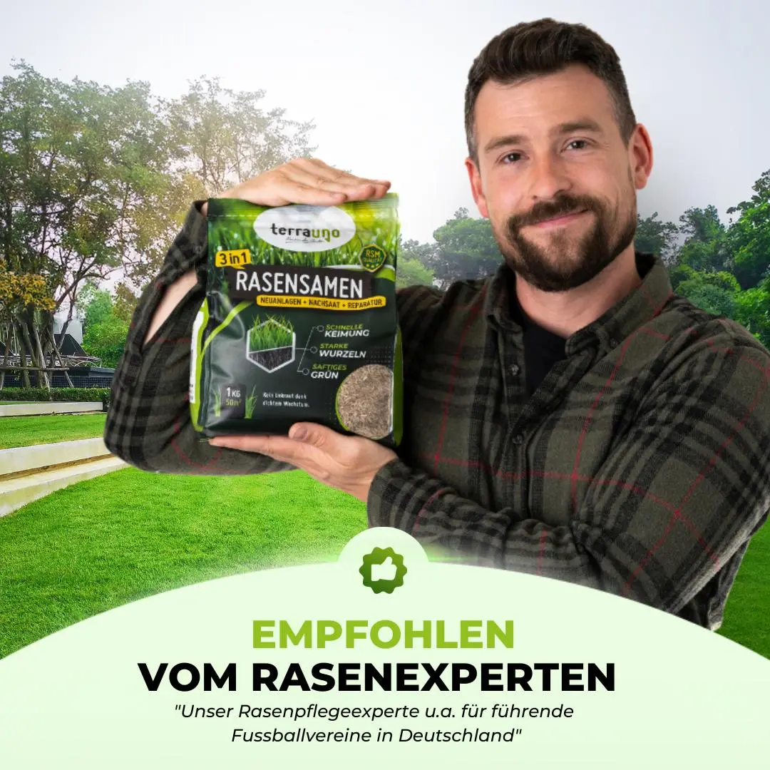 Rasensamen - Nachsaat, Reparatur und Neuanlage - Image 30