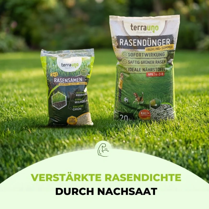 Saisonstart-Rasenset - Image 7