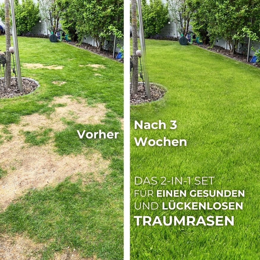 Saisonstart-Rasenset - Image 8