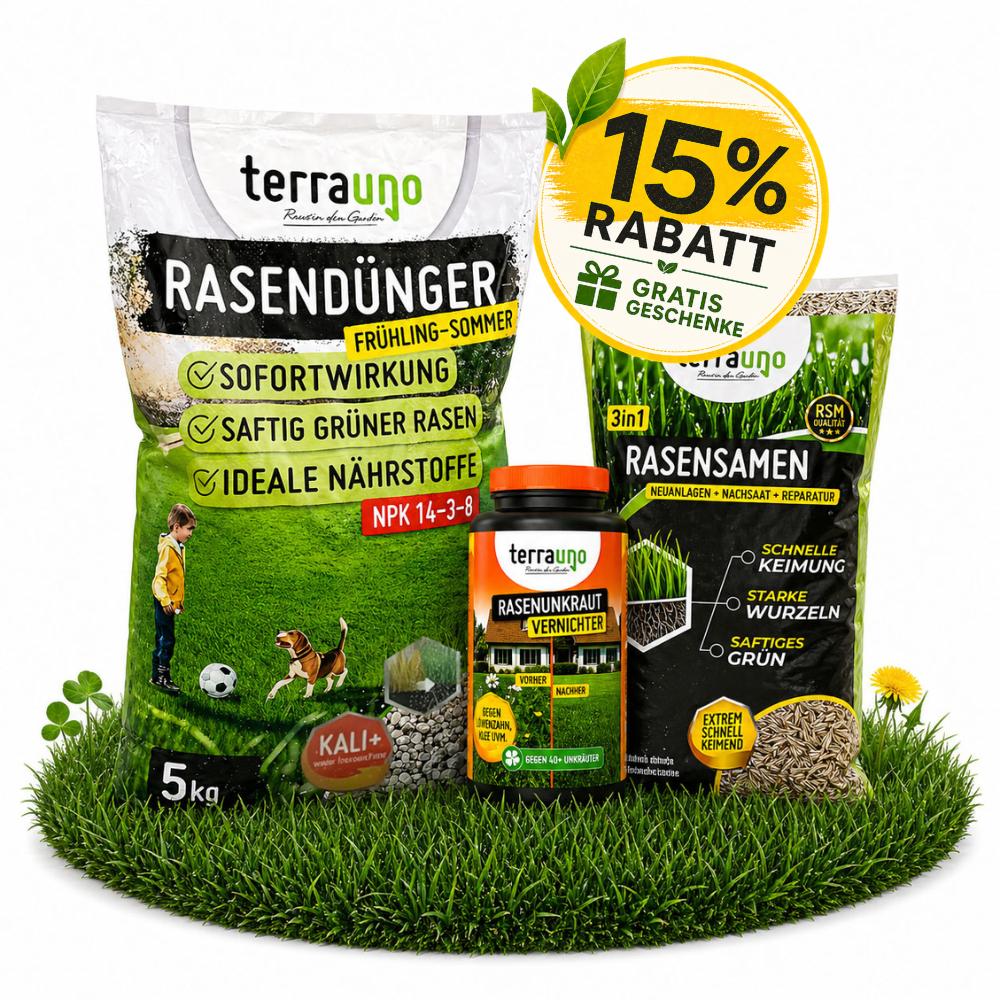 Rasen Bundle