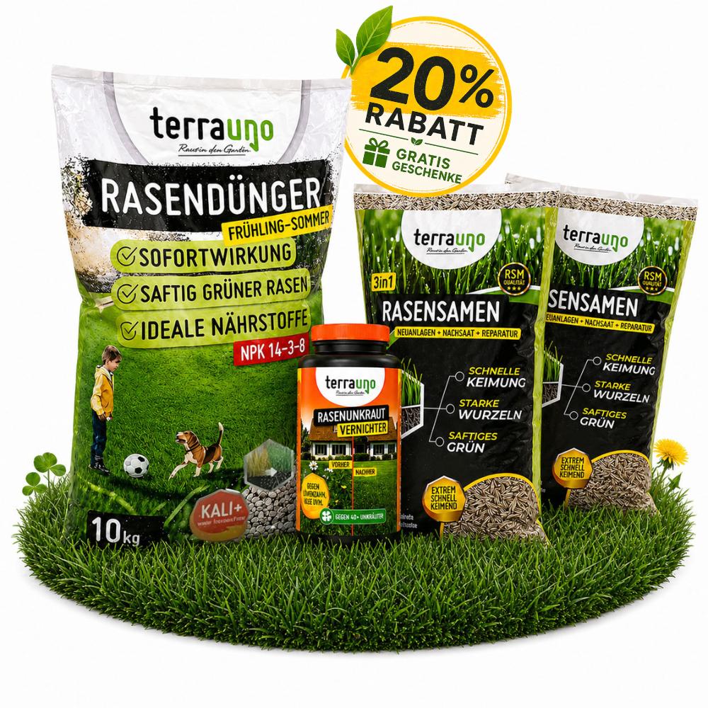 Sommerset mit Unkrautvernichter - Image 3
