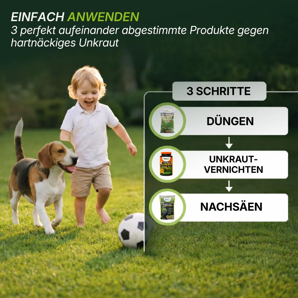 Sommerset mit Unkrautvernichter - Image 5