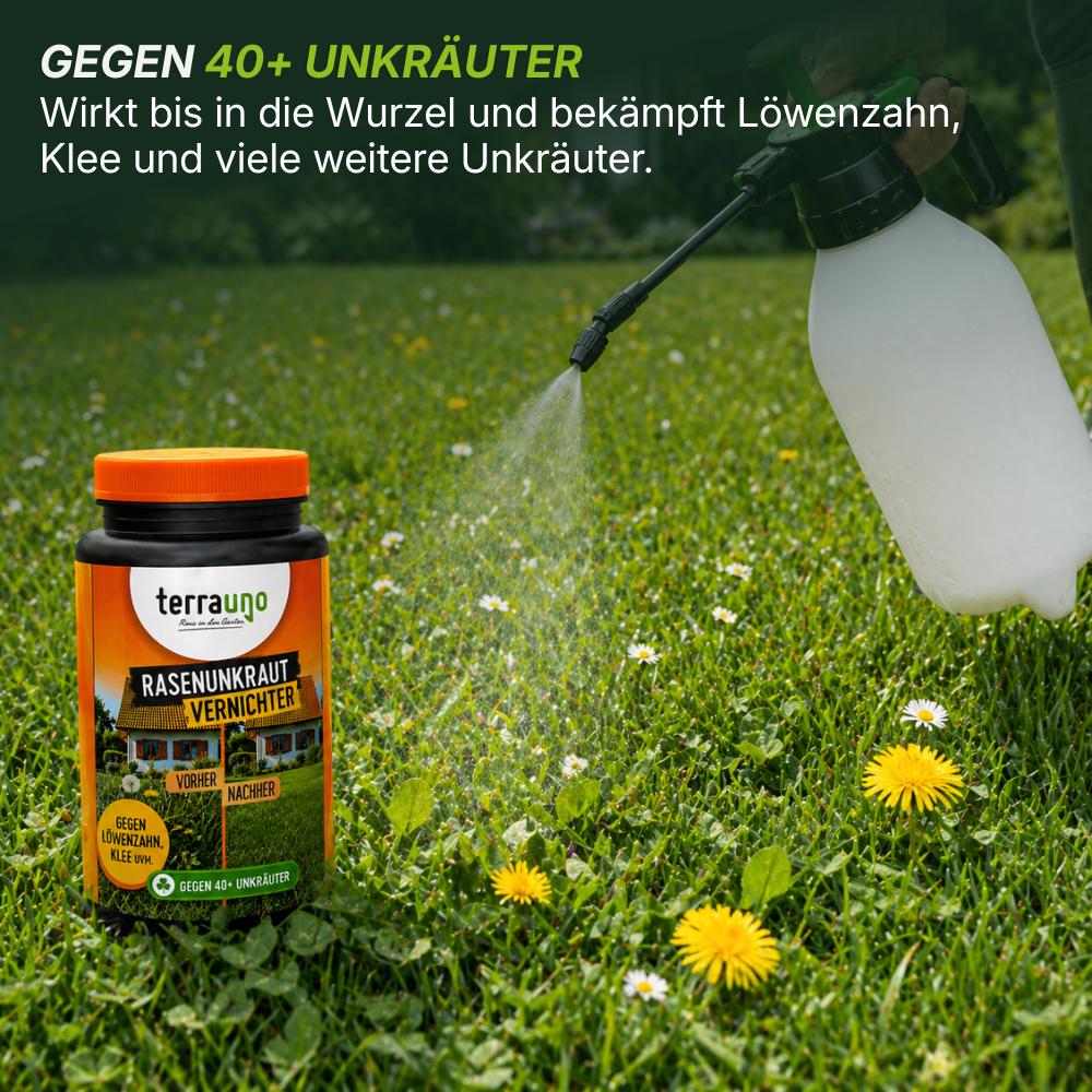 Sommerset mit Unkrautvernichter - Image 6