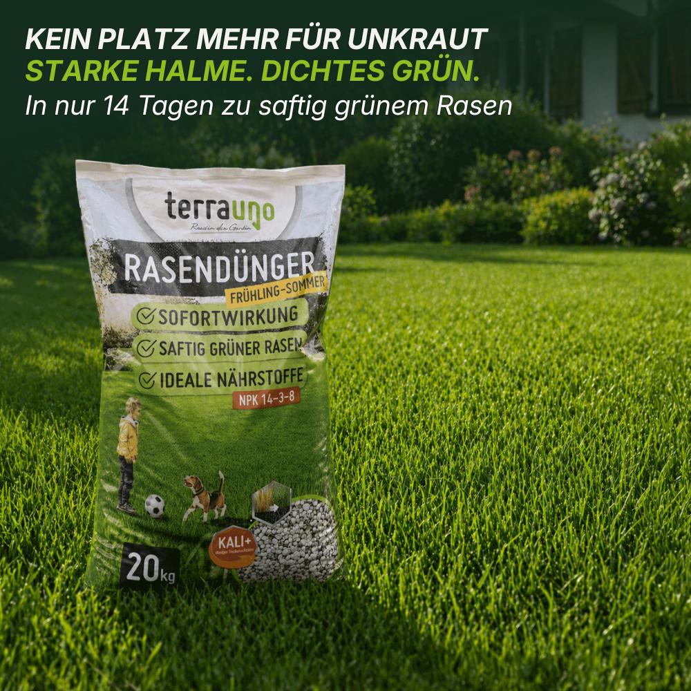 Sommerset mit Unkrautvernichter - Image 7