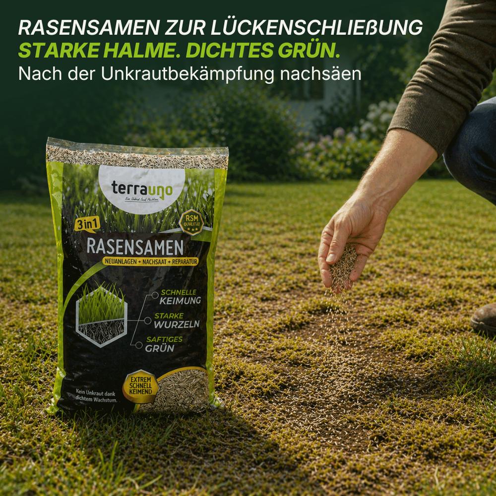 Sommerset mit Unkrautvernichter - Image 8