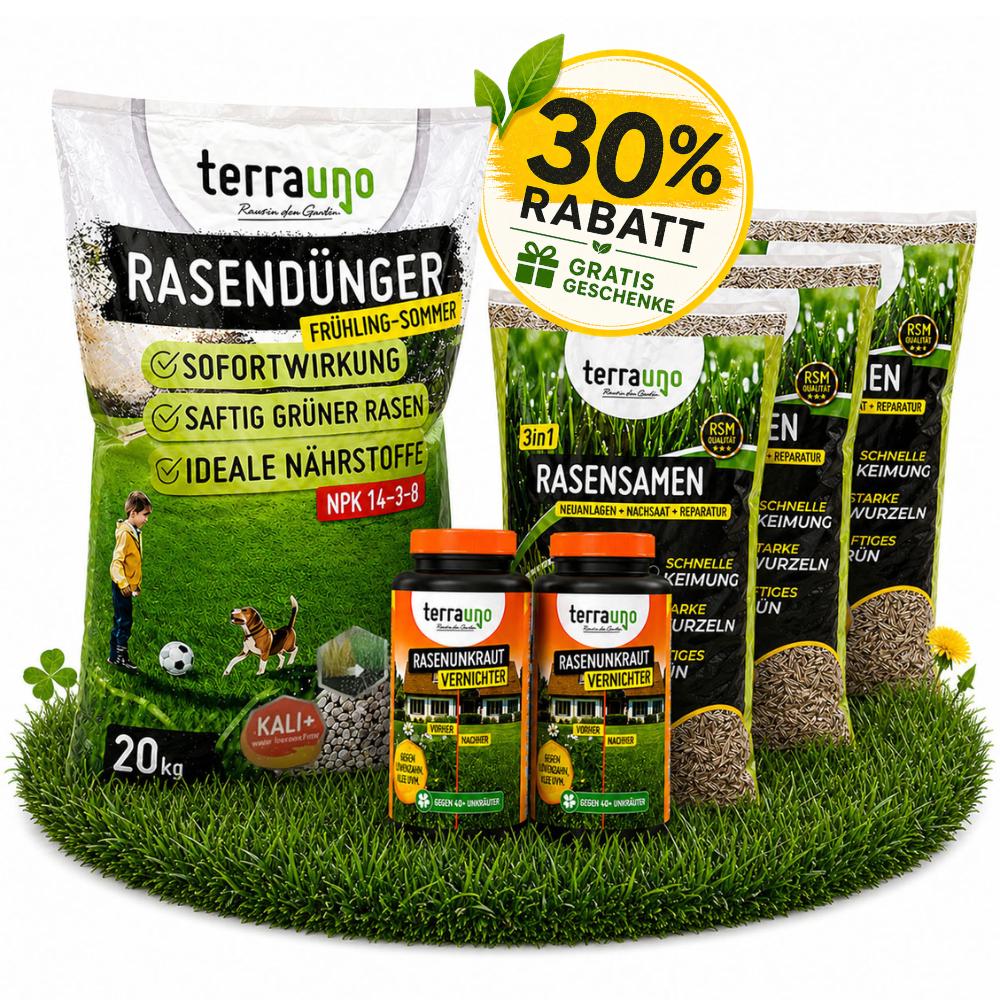 Sommerset mit Unkrautvernichter - Image 9