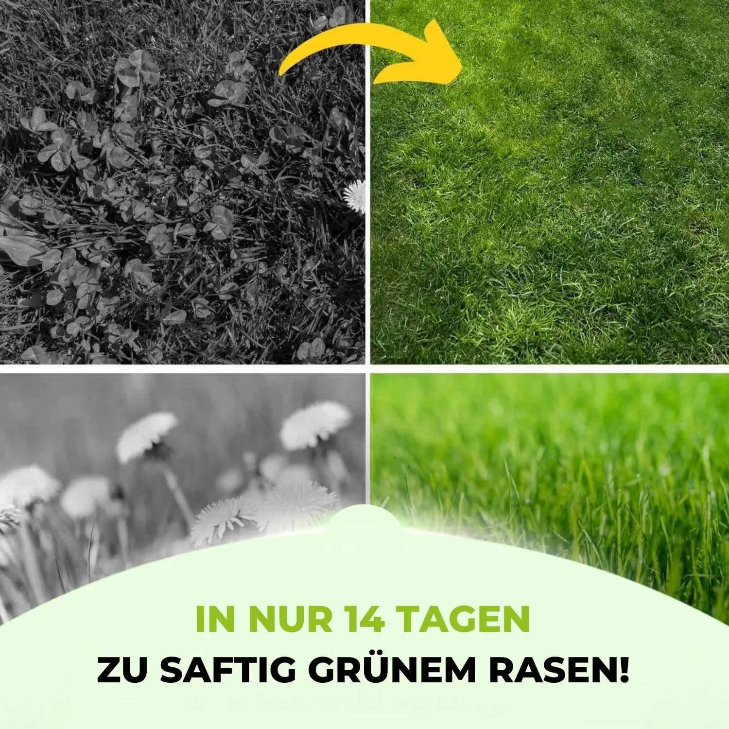 Unkrautschreck Paket - Image 4